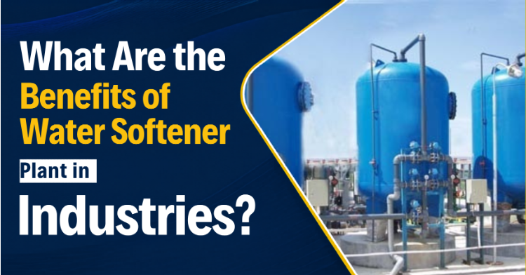 Sewage Treatment Plant (STP)