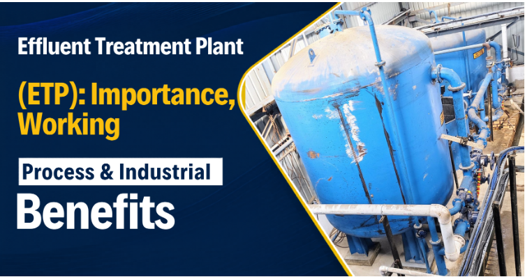 Sewage Treatment Plant (STP)