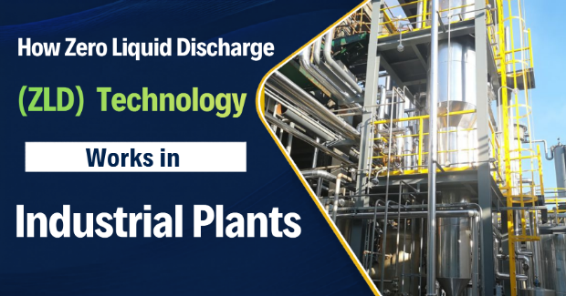 Sewage Treatment Plant (STP)